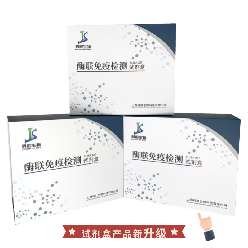 人EB病毒1型(EBV-1)ELISA試劑盒